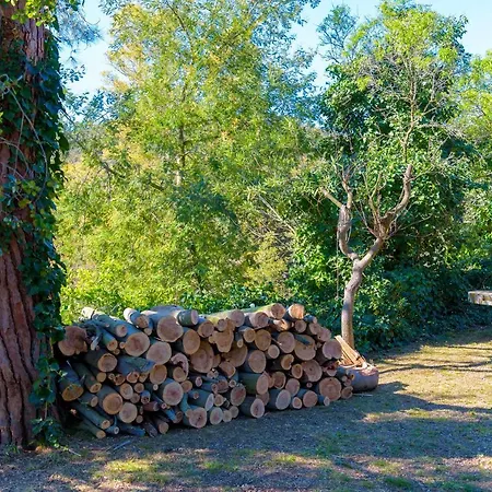 Podere I Cavalieri ヴィラ